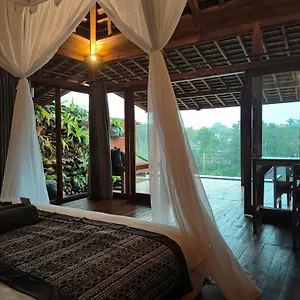 joglo-organik-guesthouse.ubudhotelsnow.com/